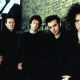 Simon Gallup
