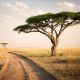 Serengeti