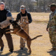 US Army