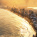 Ipanema Beach