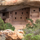 Spruce Tree House