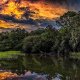 Lowcountry