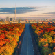 Tiergarten