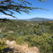 Mont Ventoux