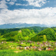 Transylvania