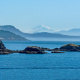 Lummi
