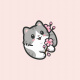 Kitten