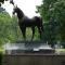 Man o' War