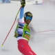 Ski Cross World Championships