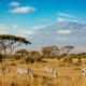 Mount Kilimanjaro