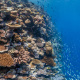 Great Barrier Reef