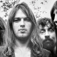 David Gilmour