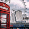 Thames River Trips