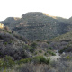 Chihuahuan Desert