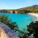 Grote Knip