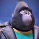 Sing