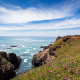 Pigeon Point Lighthouse