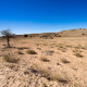 Kalahari Desert