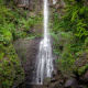 Middleham Falls