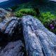 Roan Mountain