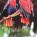 Eclectus parrot