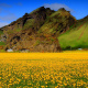 Iceland